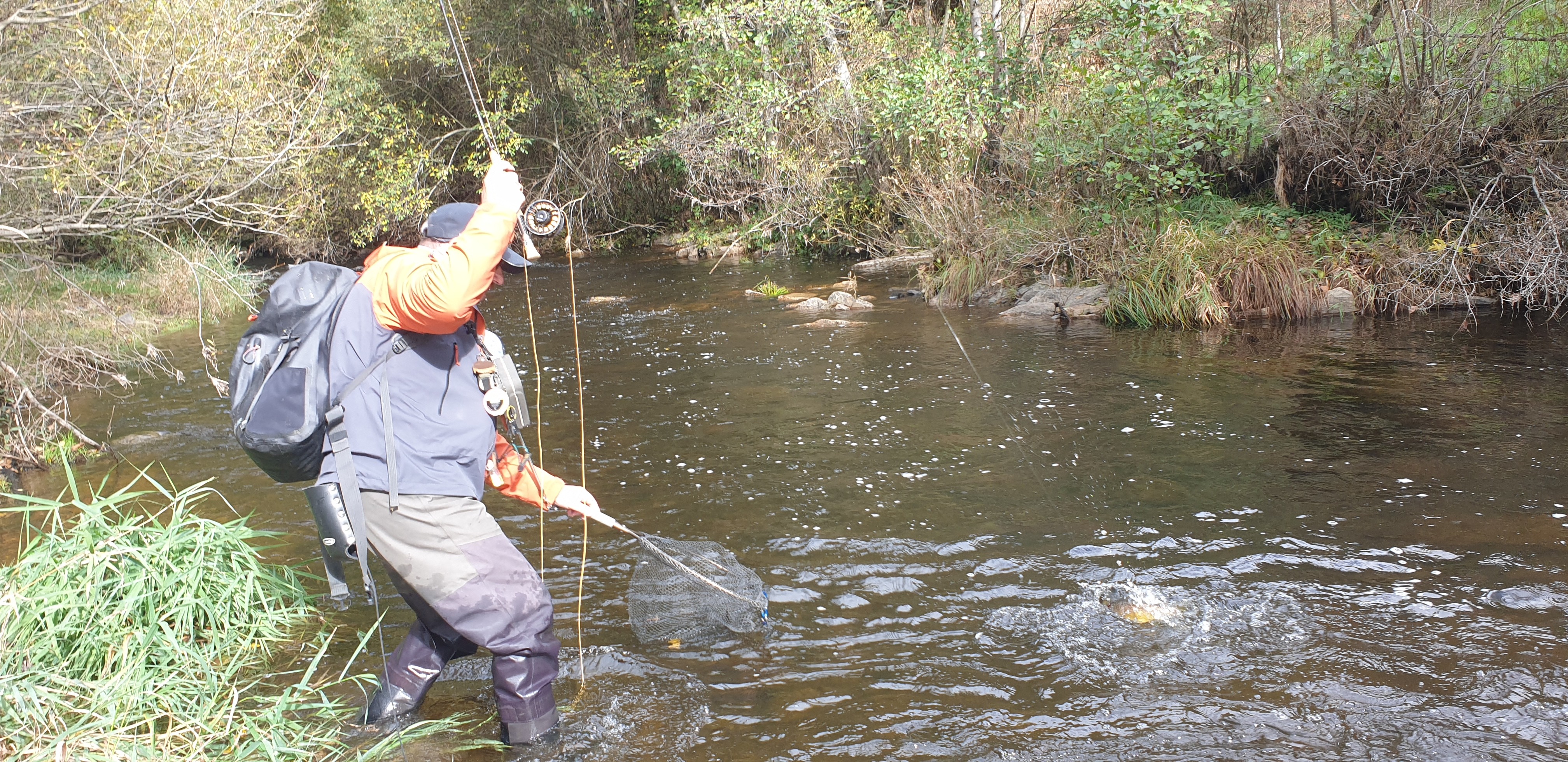 belle action de pêche à la mouche par un pêcheur avec guide de pêche à la mouche